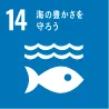 １４）海の豊かさを守ろう